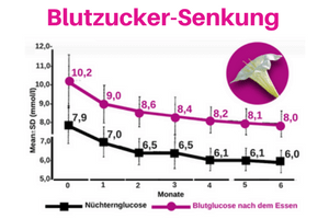 Kurve Blutzuckersenkung durch Hintonia nach 6 Monaten